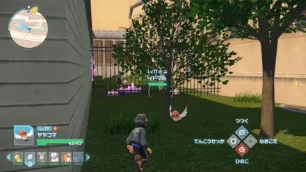 イトマル見た目