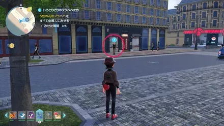 いろとりどりのフラベベたちの依頼人