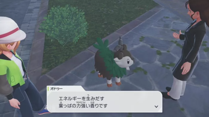 メェークルを手持ちに入れて話しかける