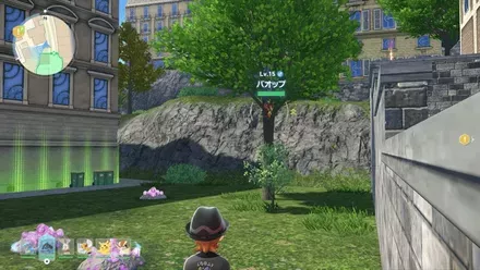 バオップ見た目