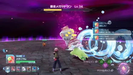 こんらん状態になったらポケモンを入れ替える