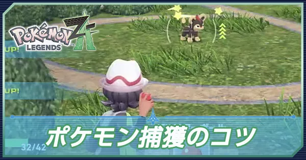 ポケモン捕獲のコツ