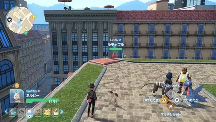 ルチャブル見た目