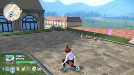 イーブイの実際の見た目