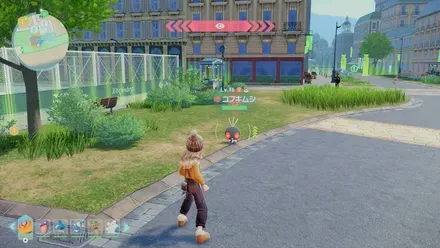 コフキムシのマップ