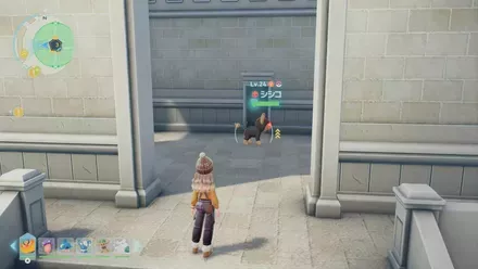 シシコのマップ