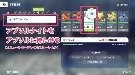 アブソルナイトを持たせたアブソルをパーティにいれる