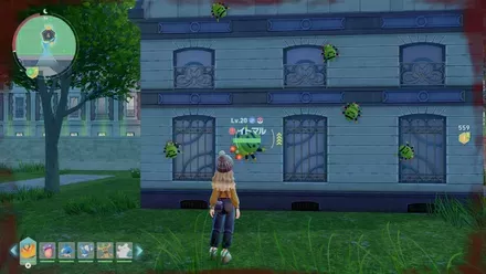 イトマルのマップ