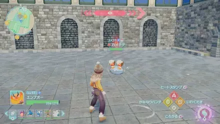 カメテテのマップ