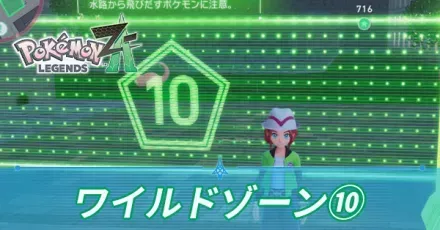 ワイルドゾーン10