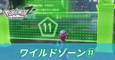 ワイルドゾーン11