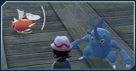 リポップパーシャル