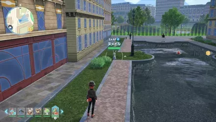 ヌメイル見た目