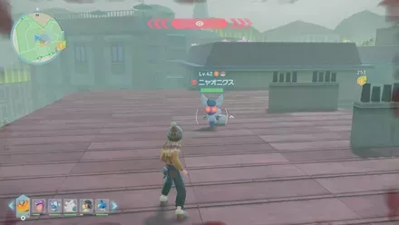 ニャオニクス（メス）のマップ