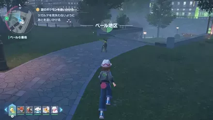 ジガルデを追いかける