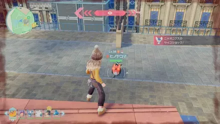 ヒノヤコマ画像