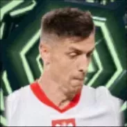 HPクシシュトフピョンテク(10/16)画像