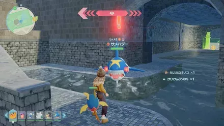 サメハダーのマップ