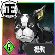 イギー【砂のスタンド使い】