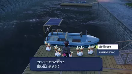 カメテテバトル