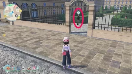 大迷惑なビードルの依頼人