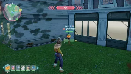 マダツボミのマップ