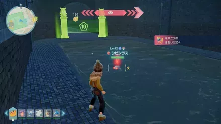 シビシラス画像