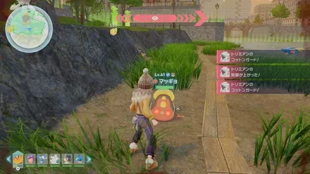 マッギョのマップ