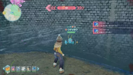 ウデッポウのマップ