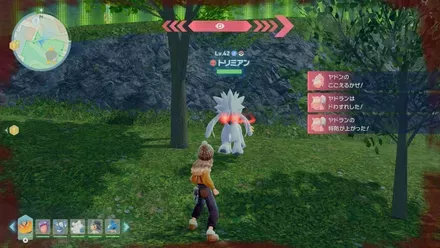 トリミアンのマップ