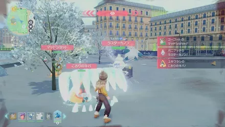 バニプッチ画像