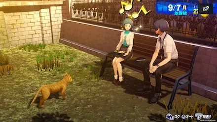 ランクポイントを溜める