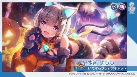 公式生放送の情報まとめ