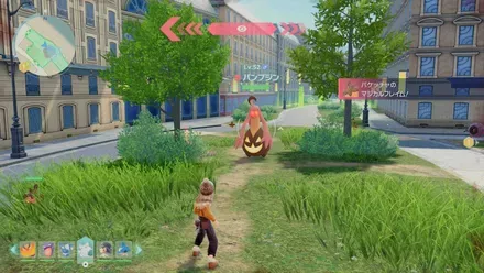 パンプジン画像