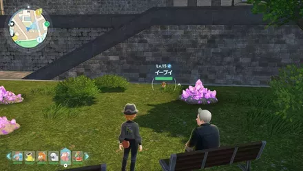 イーブイの実際の見た目