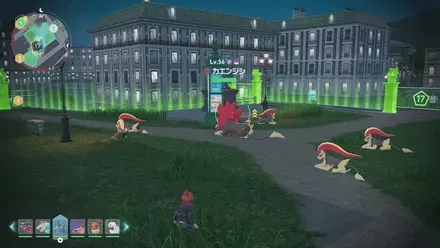 カエンジシ画像