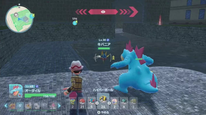 キバニアを捕まえる