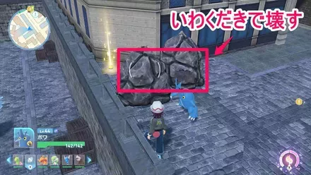 ずつき入手の見た目