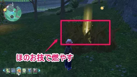 サイコキネシス入手の見た目