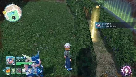 ぼうふう入手の見た目