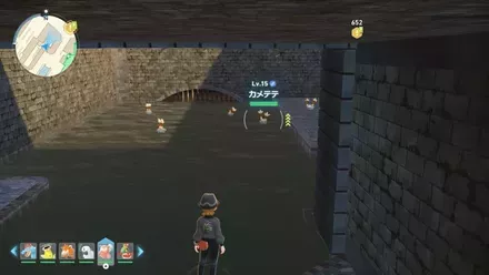 カメテテ見た目