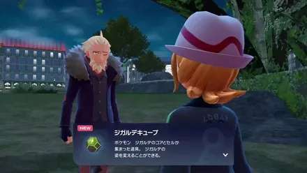 ジガルデキューブ