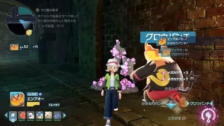 地下水道のメガ結晶を掃除する