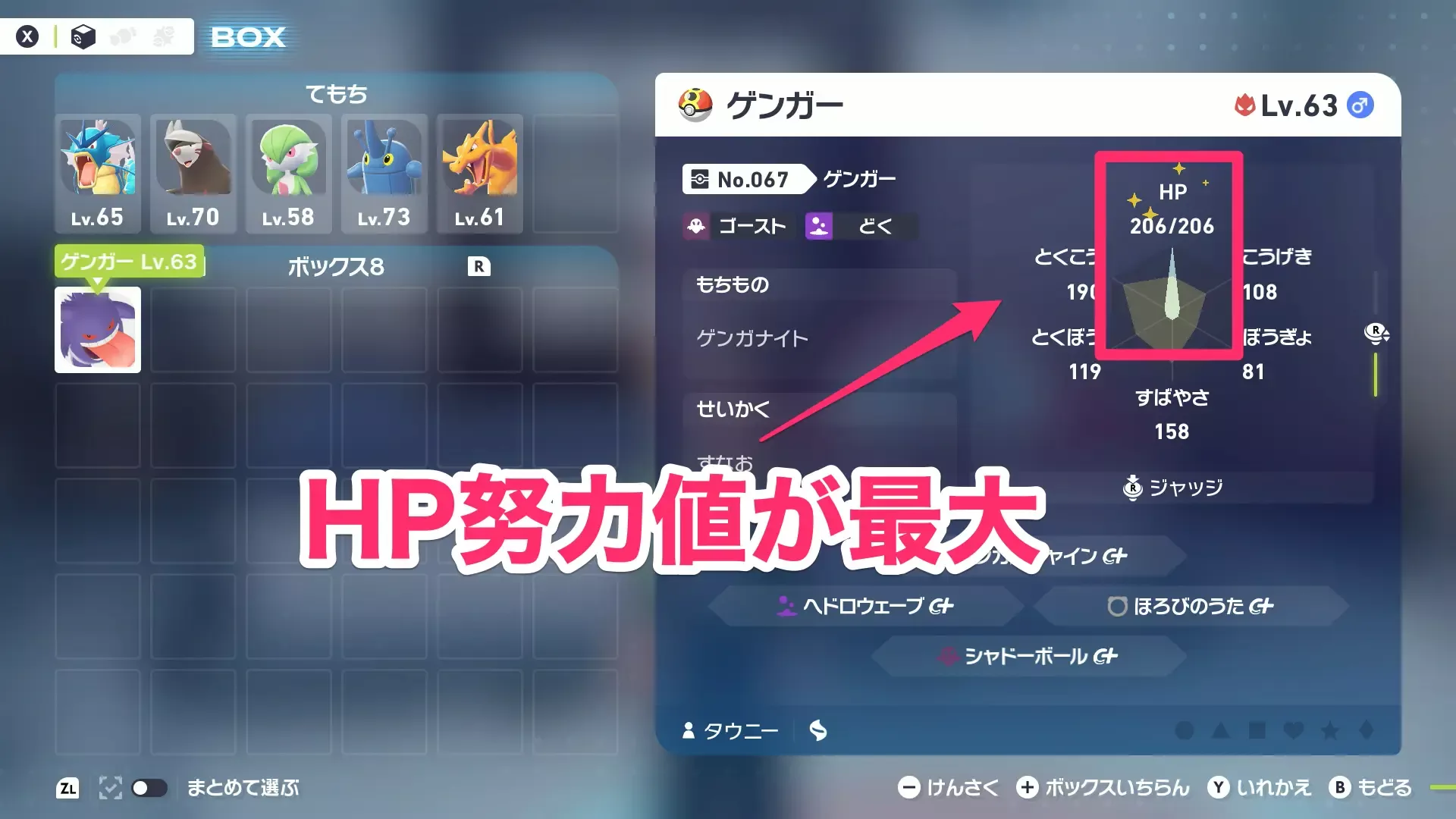 オヤブン個体はHP努力値が最大