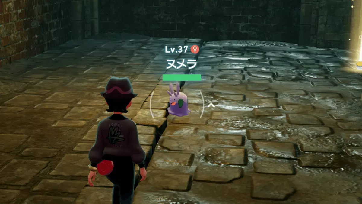 地下水道のヌメラ