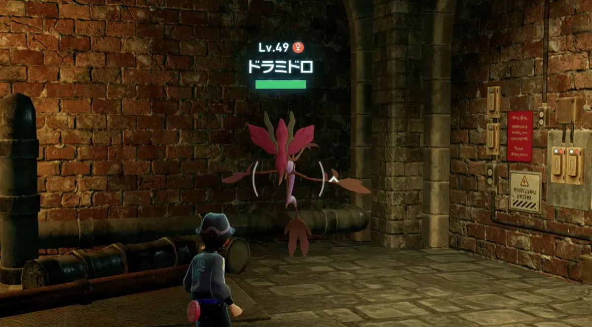 地下水道のドラミドロ