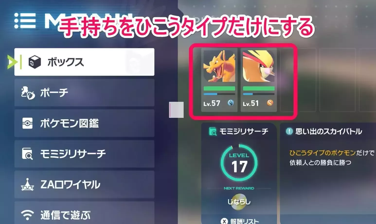 飛行タイプのみにする