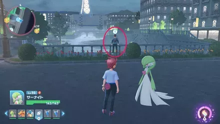 ガラルのマッギョを探せ！の依頼人