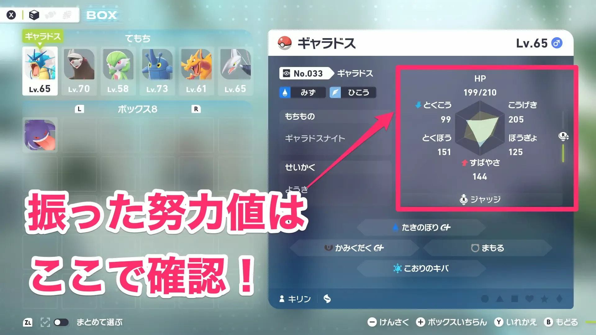 努力値の確認方法