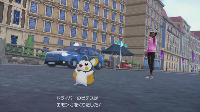 ビテスとのポケモンバトル